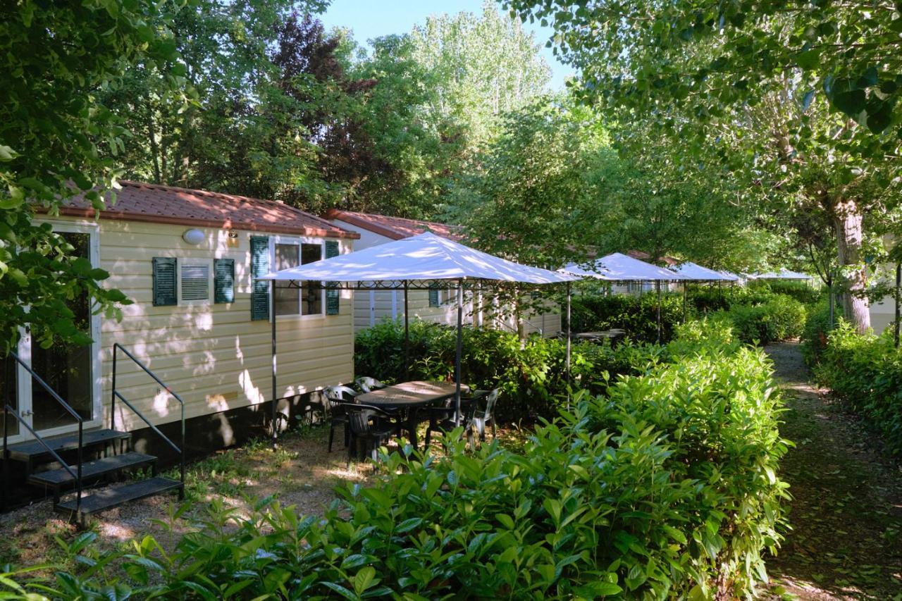 Camping La Chiocciola 호텔 Capannole 외부 사진