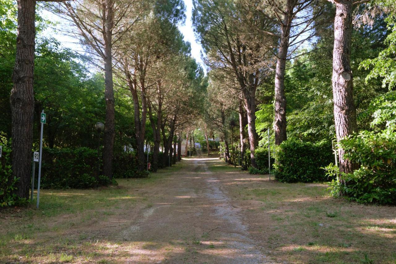 Camping La Chiocciola 호텔 Capannole 외부 사진