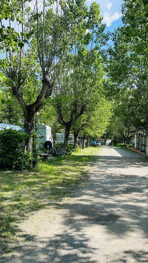 Camping La Chiocciola 호텔 Capannole 외부 사진